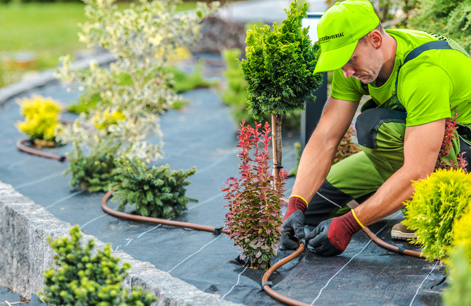 Flat & Low-Slope Roofing